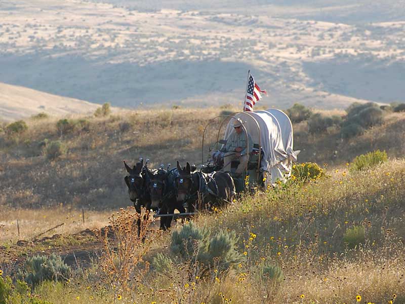 What Its Like To Wagon West On The Oregon Trail Today The Drive