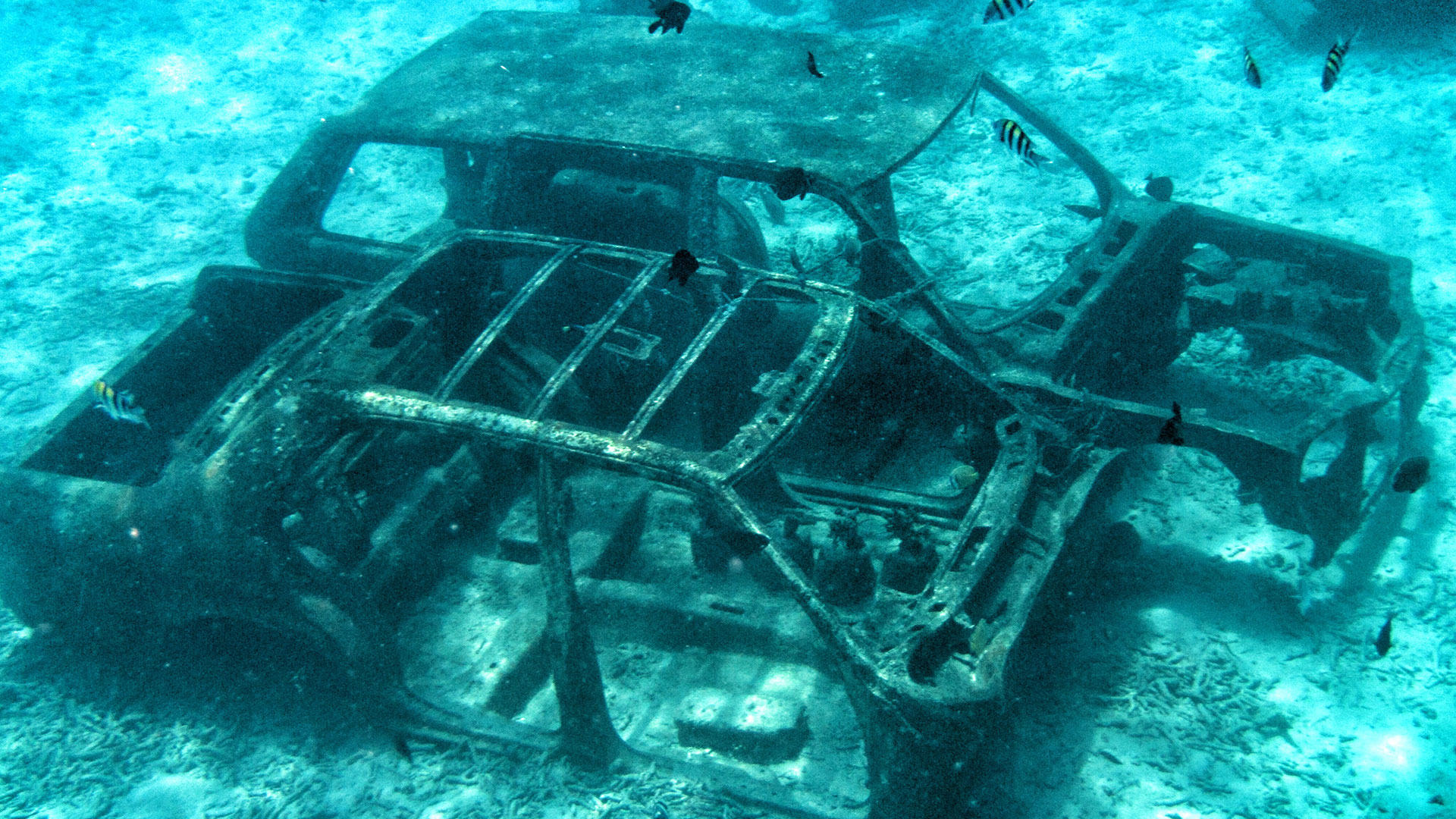 Rust and Reef: Exploring Underwater Car Ruins - The Drive